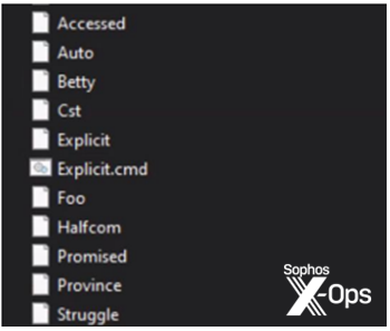 A listing of assorted files dropped by the malicious downloader