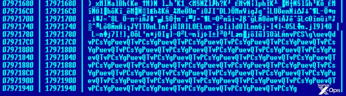 A continuation of the previous figure, but with the repeated XOR code visible