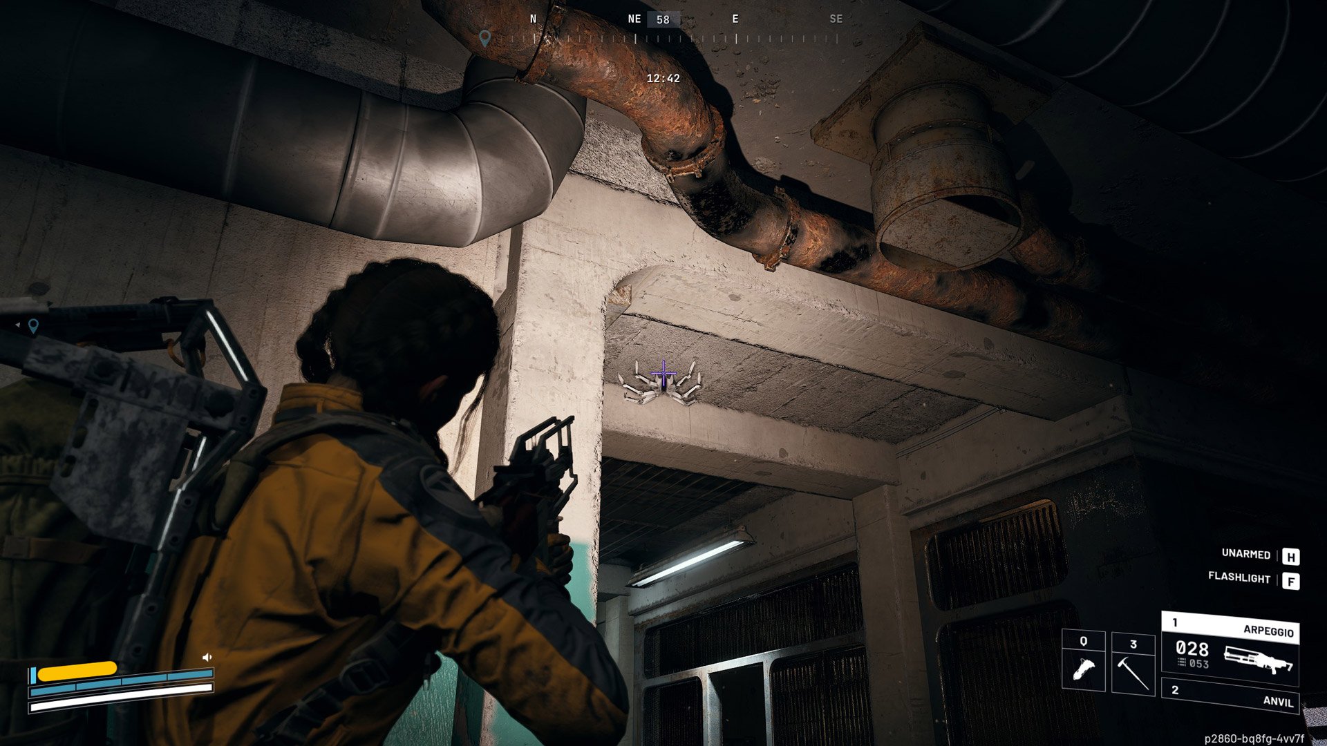 A tick hides out in the ceiling.